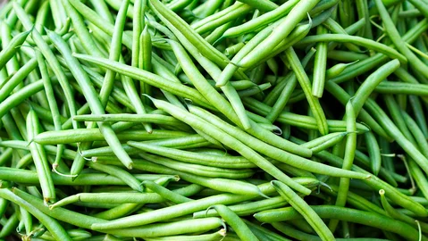 Image by <a href="https://pixabay.com/users/matthiasboeckel-3930681/?utm_source=link-attribution&utm_medium=referral&utm_campaign=image&utm_content=4523422">Matthias Böckel</a> from <a href="https://pixabay.com//?utm_source=link-attribution&utm_medium=referral&utm_campaign=image&utm_content=4523422">Pixabay</a>